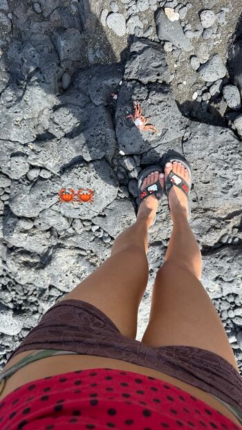 Shannon Zhao